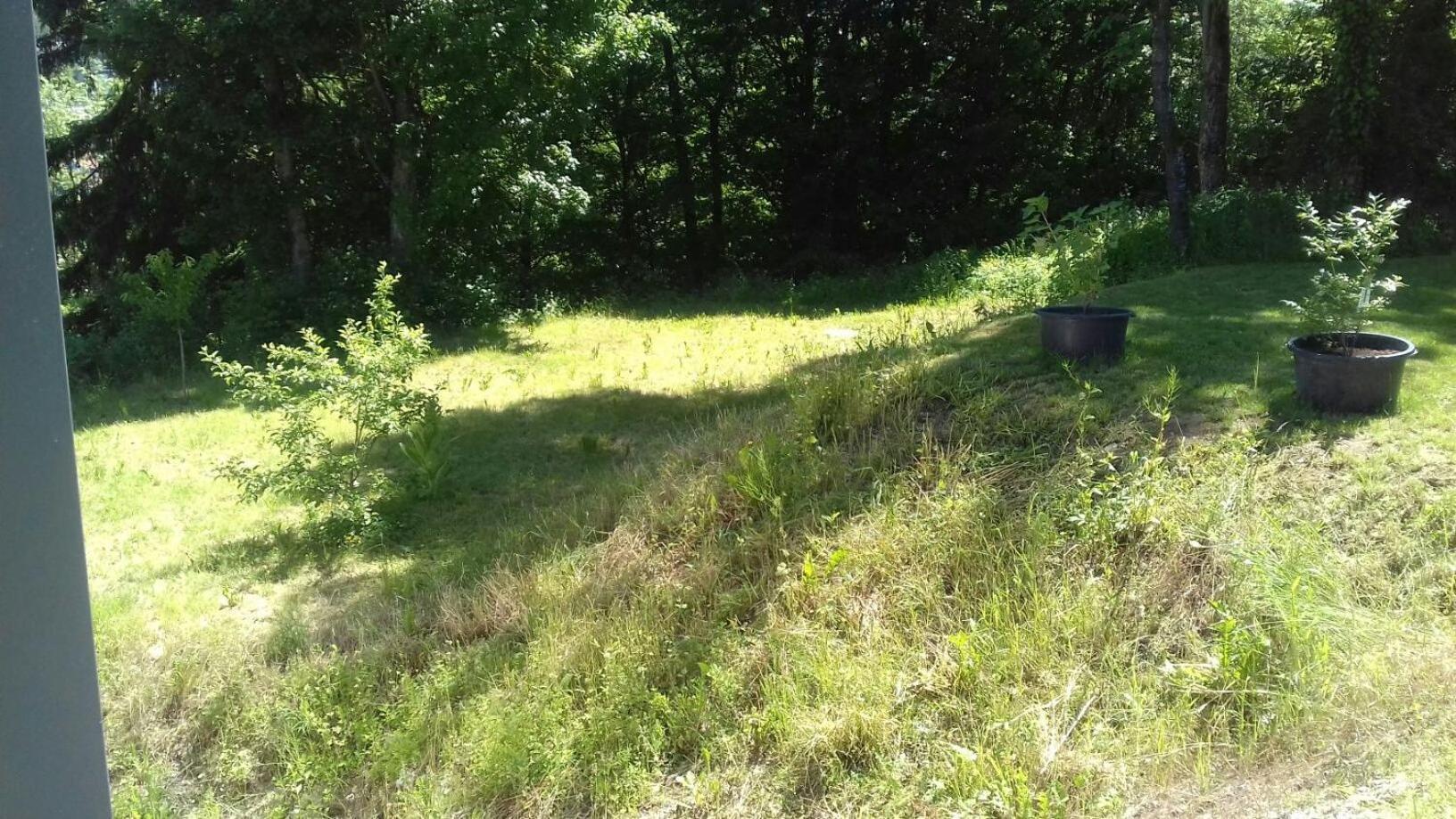 Ferienwohnung Ameis Heiligenstadt in Oberfranken Exteriér fotografie